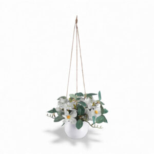 Potted Tradescantia (H18cm)
